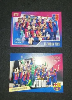 PANINI FC Barcelona Tribute 日本未販売 2枚セット