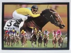 競馬.ウオッカ.パネル.心に残る名馬