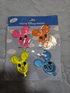 東京ディズニーリゾート キーチェーン