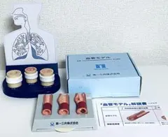 医療 気管支モデル 血管モデル 杏林製薬 第一三共