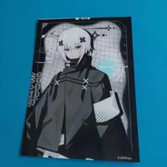 Meteora　ブロマイド7枚セット