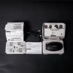 Item thumbnail for item 334ab310-8c95-44b7-840b-a68bb18539d2