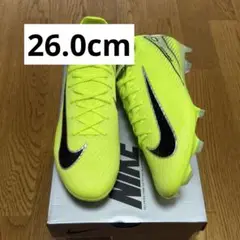 Item thumbnail for item 0205a90d-001a-40bc-86e4-db4eb4d9f9b0