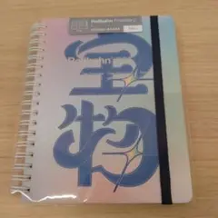 Item thumbnail for item 0ef4d923-937c-47be-8390-6916e5a2830b