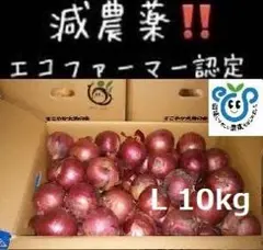 北海道産 赤玉ねぎ 10Kg Lサイズ