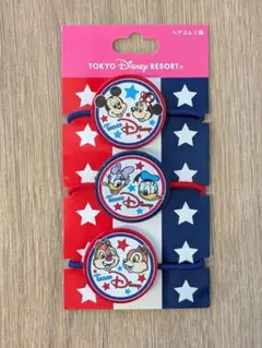 【未使用】東京ディズニーリゾート TeamDisney ヘ アゴム