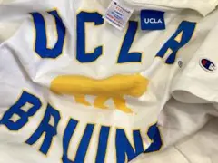 チャンピオン Tシャツ L リバースウィーブ USA 88 トリコ T1011
