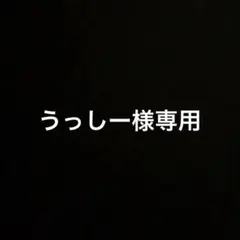 うっしー様専用