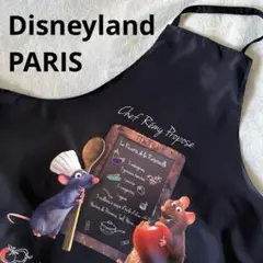 レア☆ディズニーランドパリ レミー 絵 フランス レア☆ディズニーランドパリ レミー 絵 フランス - メルカリ