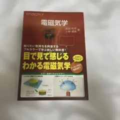 電磁気学 ビジュアルアプローチ