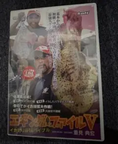 エギングファイルV 釣り DVD