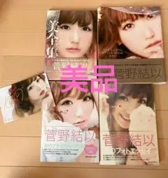 菅野結以 ビューティー・スタイルブック 4冊セット