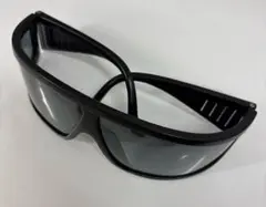 サングラス　 TEAM DAIWA ブラック