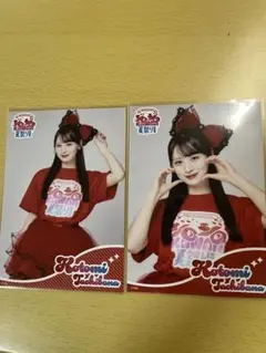 立花琴美 ブロマイド 2枚セット