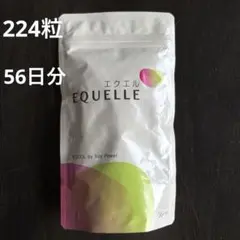 Item thumbnail for item cd4bc6cd-33c1-45db-9237-e06b8019e832