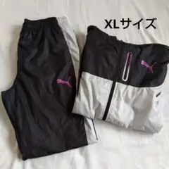 Item thumbnail for item 49e5f531-1227-4ad5-bd8e-4591870b5bdf