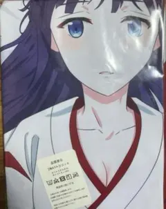 さ*き様 司波深雪　抱き枕カバー　586 Amazon | 魔法科高校の劣等生 司波深雪 抱き枕カバー 2020