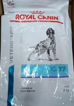 Item thumbnail for item 01b52423-e0c5-4985-8603-e82589d2fa5b