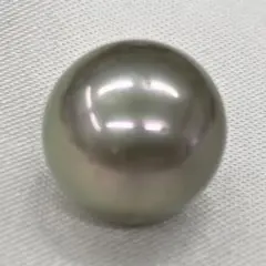 希少 グレー 光沢あり 白蝶真珠 ボタン型 12.5mm 2.6g