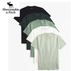 アバクロ　アイコンTシャツ　5枚セット