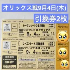 引換券 2枚みずほPayPayドーム
