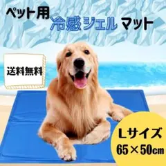 Item thumbnail for item bfc7b56d-c98e-4434-9697-5a074963b6b4