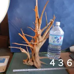 Item thumbnail for item afe3940d-ea55-4fec-9e91-7d1cd0571df5