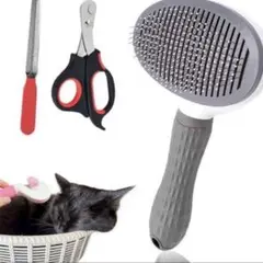 Item thumbnail for item ac994484-9891-495c-8bf7-bf7d922b111f