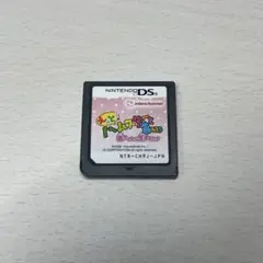 DS カセット もっとハムスターと暮らそう 飼育 育成 ゲーム