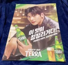 ☆非売品！韓国ビール TERRA チチャンウク ポスター 2種セット☆
