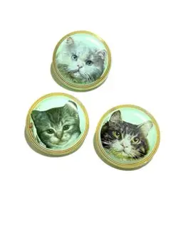 Item thumbnail for item 049e8ad4-3a62-408e-ae16-5077bcc0561f