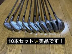 アイアン10本フルセット MIZUNO Pro MS-211 forged