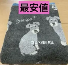 Item thumbnail for item e695efef-b85b-4f92-bba8-2a71959a342e