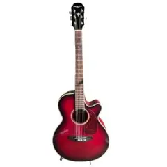 ネ*コ様 ARIA エレアコギター　FET-STDBS 美品　1931-02-1 FET-F2/BnG | Elecord | Products | ARIA 荒井貿易株式会社 Arai