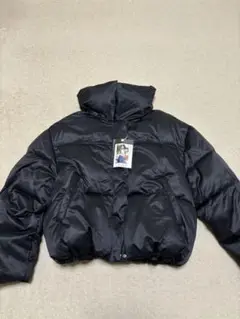 Item thumbnail for item 508fc240-2580-4b67-8763-4324a8009fb2