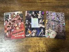 Item thumbnail for item 03d19793-9af2-4a95-b387-8e752884d76c