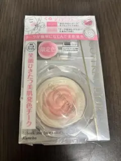 Item thumbnail for item ac2383c5-7c82-49ac-b869-a86e429d3675