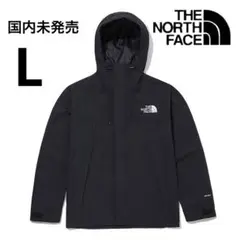 【国内未発売】ザノースフェイスHI-MOUNTAINジャケット/L