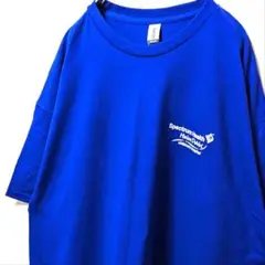 ギルダン スペクトラムヘルスヘレンデヴォス Tシャツ ブルー青XL古着