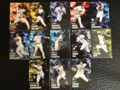 2025カルビープロ野球チップス　第1弾スターカード13枚