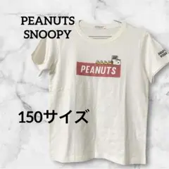 PEANUTS Snoopy Tシャツ 150 白