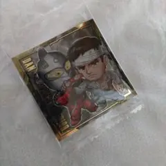 ウルトラマンウェハースシール SEC セブン上司&ダン 未使用