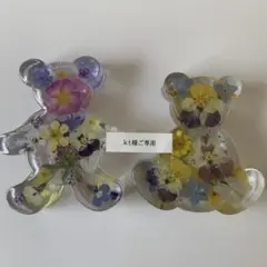 固まるハーバリュウム ベアセット