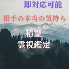 即時鑑定 男女関係 恋愛 縁結び 片想い 復縁 不倫 占い 霊視 精霊術