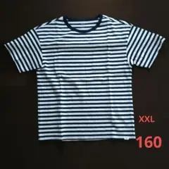 GAP　Tシャツ　XXL　160