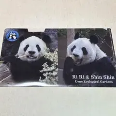 2025年最新】上野動物園 マルチケースの人気アイテム - メルカリ