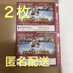 東京サマーランド 1 Dayパス　春秋限定　2枚セット　株主ご招待券