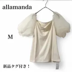 Item thumbnail for item 6c35c003-236c-4fc8-ad8c-776486e709f6