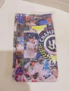 YS 2021年優勝記念プリントフェイスタオル