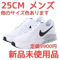 25CM メンズ ナイキ エアマックスエクシー 白スニーカー 通学靴 白